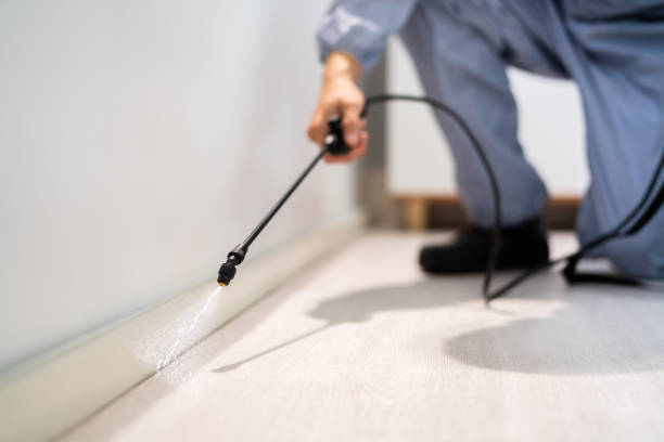 Licensed Pest Control service in Ephrata, WA - Show Me Pest Control