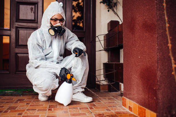 Attic and Crawl Space Rodent Treatment in Ephrata